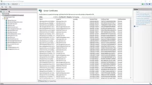 IIS Server / Server Certificates