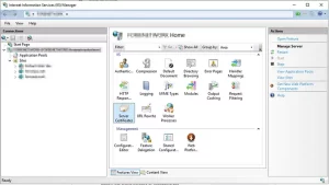 IIS (Internet Information Services)