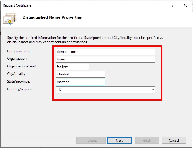 alan adı, organizasyon adı, ülke vb.