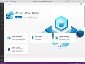 Azure Data Studio (ADS):